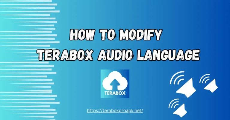 How to modify terabox audio language