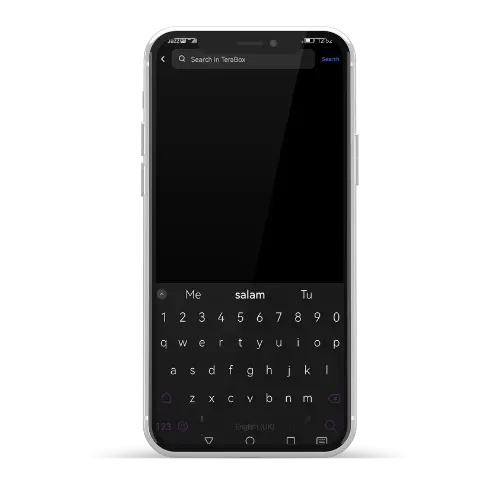 Security Measures, Terabox Mod APK